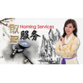 取名服务 Naming Services