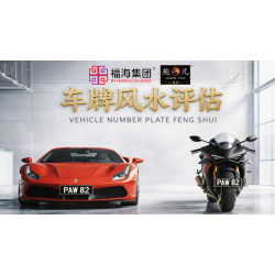 车牌风水评估 Vehicle Number Plate Feng Shui