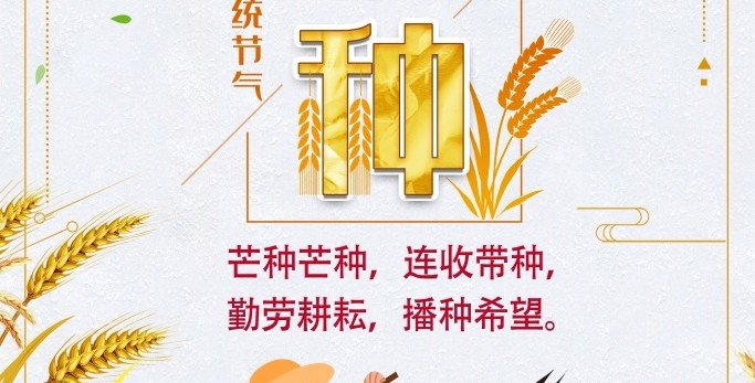 鲍一凡老师 | 2021 芒种 鲍一凡老师 | 2021 芒种