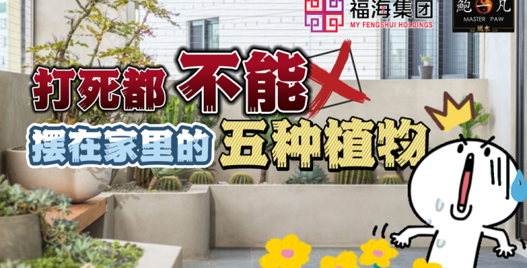 鲍一凡老师分享 | 打死都不能摆在家里的五种植物（附加视频）