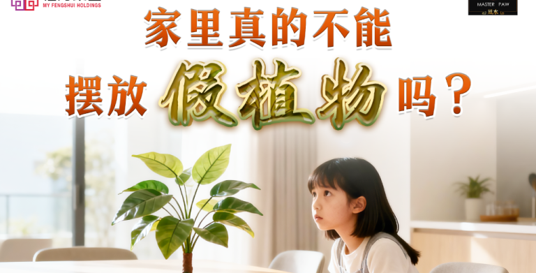鲍一凡老师 | 家里真的不能摆放假植物吗 (附加视频)
