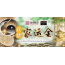 代烧一份【家运金】*