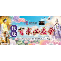代烧有求必应金 Burn On Behalf Of Wishful Joss Paper 代烧有求必应金 Burn On Behalf Of Wishful Joss Paper