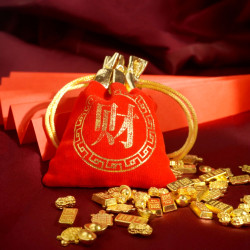 聚财金袋 Treasure Fortune Pouch 聚财金袋 Treasure Fortune Pouch