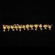 十二生肖开运珠 Zodiac Fortune beads
