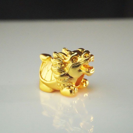 小金龙龟 Small Golden Dragon Turtle