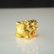 小金龙龟 Small Golden Dragon Turtle