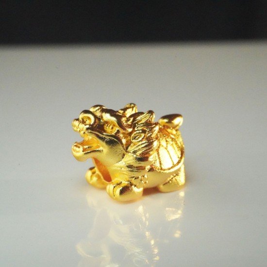 小金龙龟 Small Golden Dragon Turtle