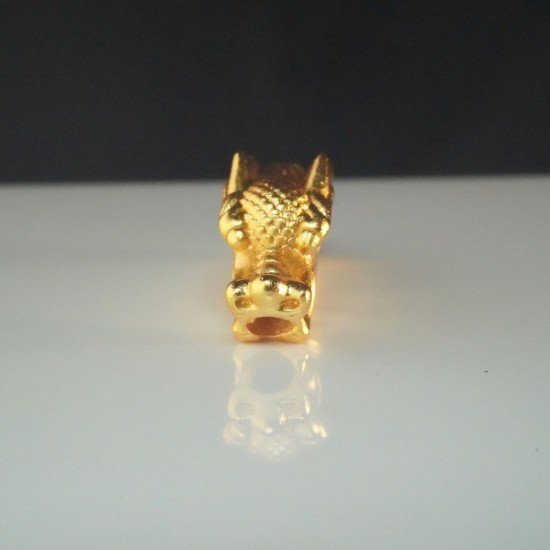 招财龙 Fortune Dragon