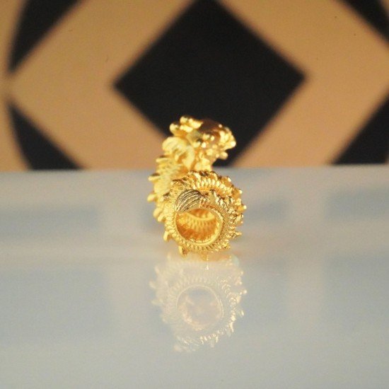 转运金盘龙 Fortune Golden Coiling Dragon