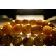 金虎眼石手链 Gold Tigerite Bracelet (10mm)