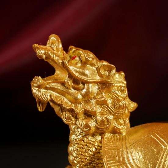 金龙龟  Golden Turtle Dragon (Golden Sanded)