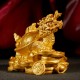 金龙龟  Golden Turtle Dragon (Golden Sanded)