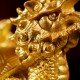 金龙龟  Golden Turtle Dragon (Golden Sanded)