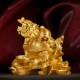 金龙龟  Golden Turtle Dragon (Golden Sanded)