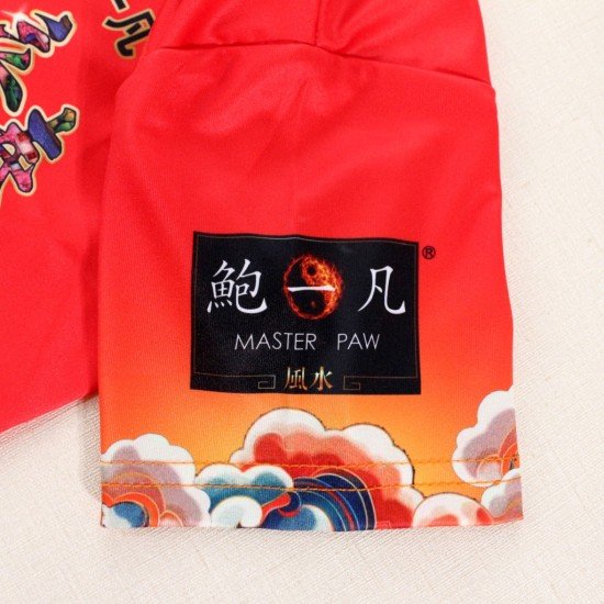 2025 立春开运服