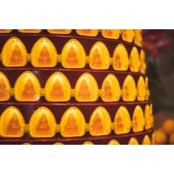 2026 点光明灯服务 Light Offering Dharma Service 2026