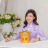 风水金旺炉 Gold Auspicious Stove